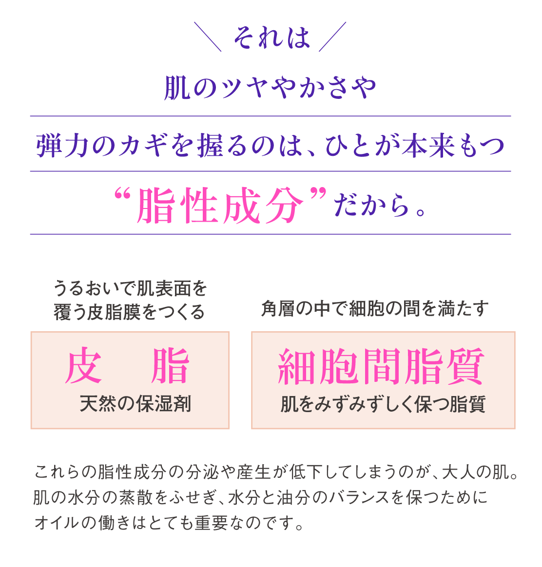 どうして大人の肌悩みにオイルが必要なの？／それは、肌のつややかさや弾力のカギを握るのは、ひとが本来もつ“脂性成分”だから。
