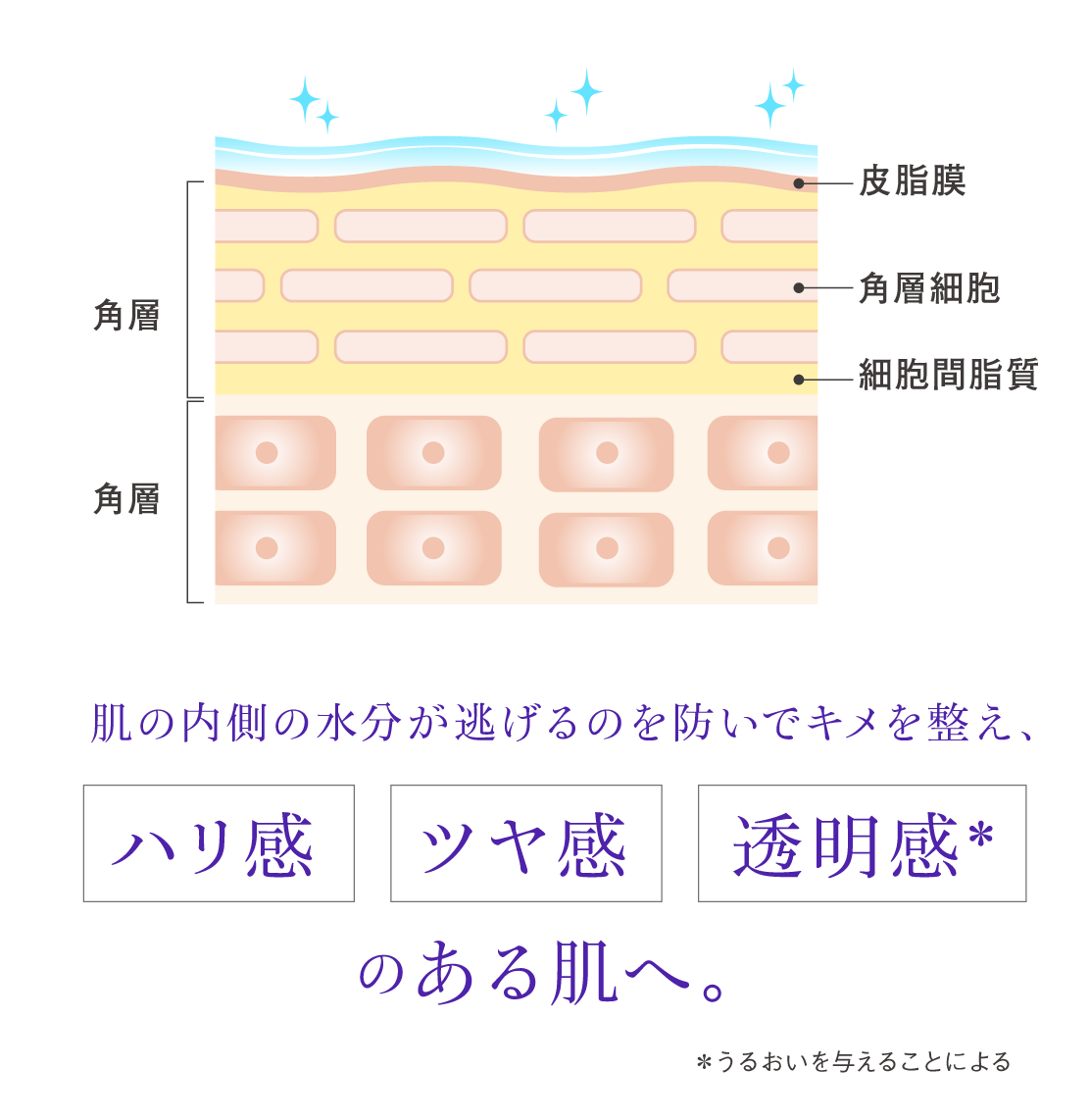 肌の内側の水分が逃げるのを防いでキメを整え、ハリ感・ツヤ感・透明感のある肌へ。
